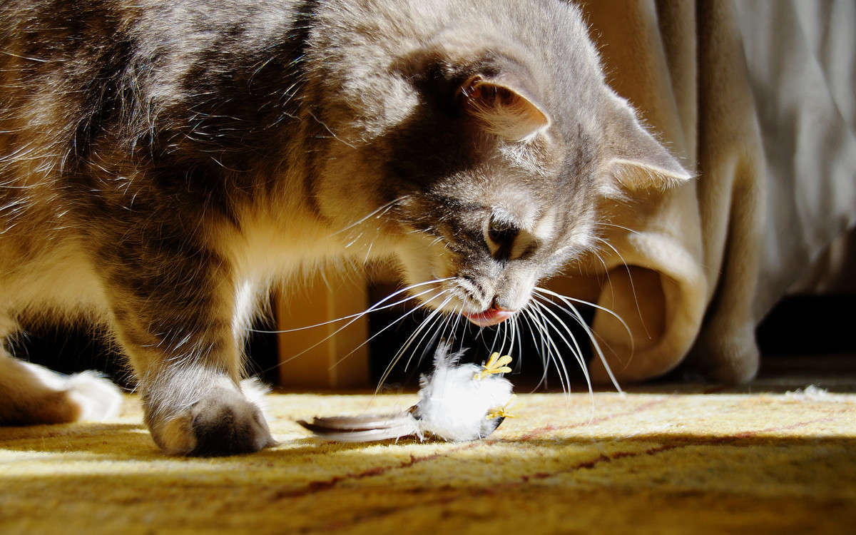 ������ - ��� ��? ����� �������  �� PhotoGeek.ru #�������� ��� #�������� ����������