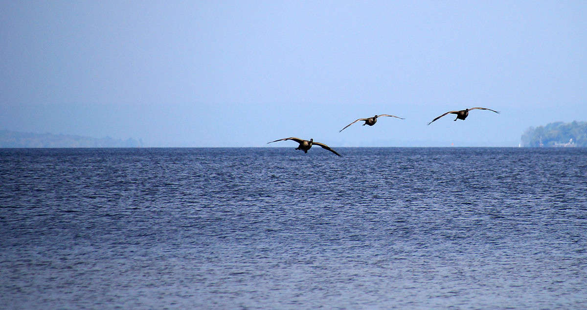 ����������� ����� �������  �� PhotoGeek.ru #�������� ��� #������ ��� �������