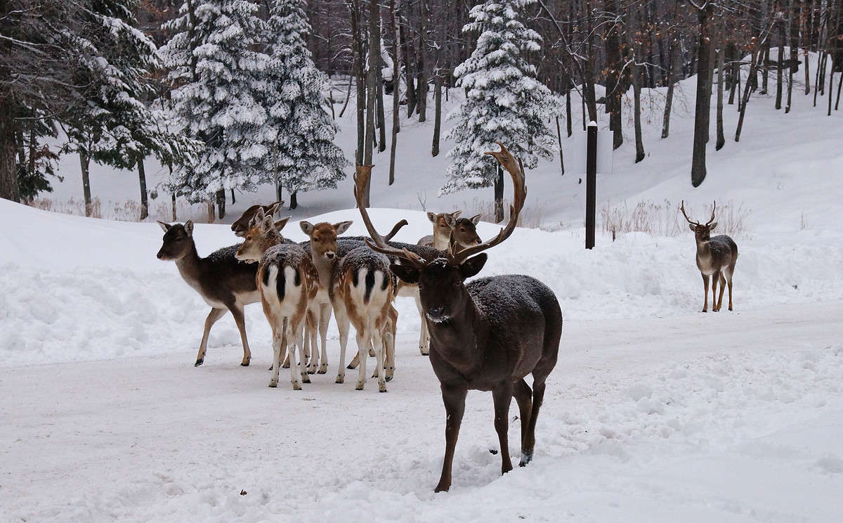 ������ ����� �������  �� PhotoGeek.ru #�������� ���