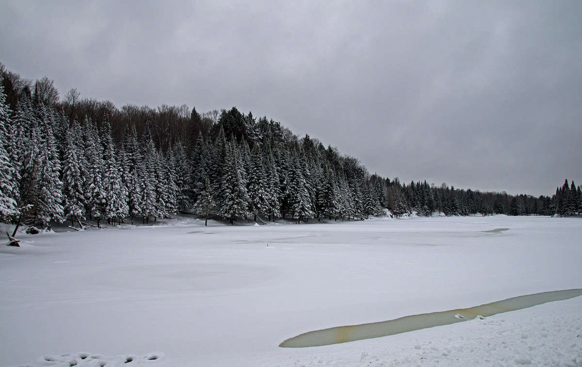 ������ ����� ����� �������  �� PhotoGeek.ru #������ ��� �������