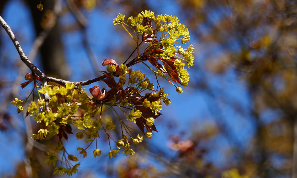 ���������� ���� ����� �������  �� PhotoGeek.ru #������ ��� �������