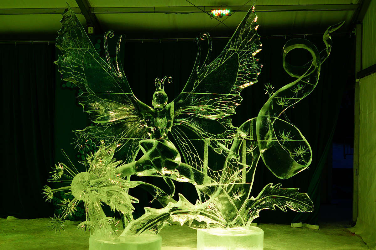 Papillion ����� �������  �� PhotoGeek.ru #�����������