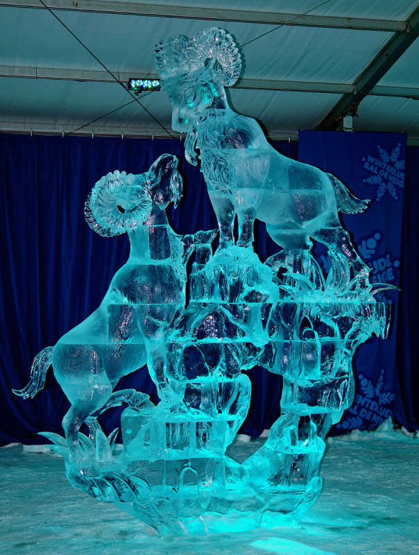 � ��� �� ���� ��������? ����� �������  �� PhotoGeek.ru #�������� ���������� #�����������