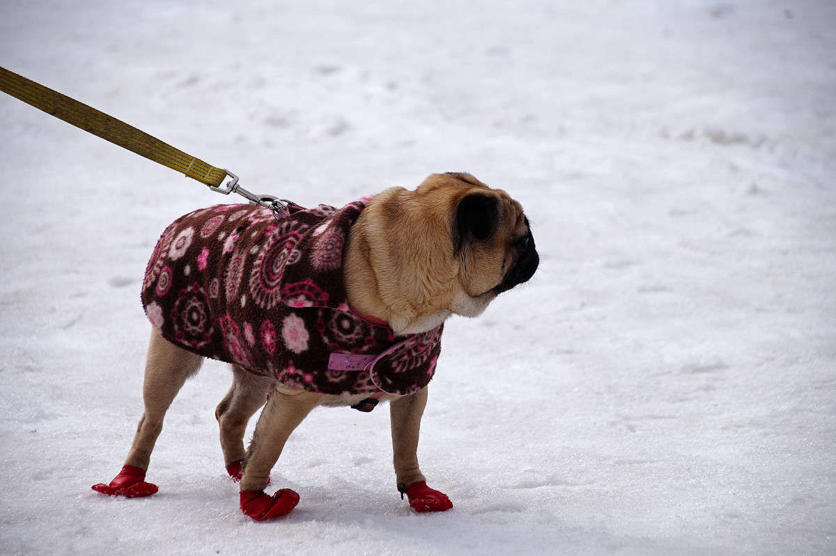 ��, ���� �� �� �������... ����� �������  �� PhotoGeek.ru #�������� ���