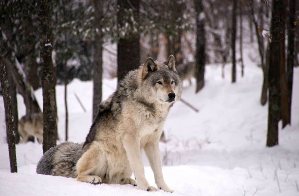 ������ ����� �������  �� PhotoGeek.ru #�������� ���