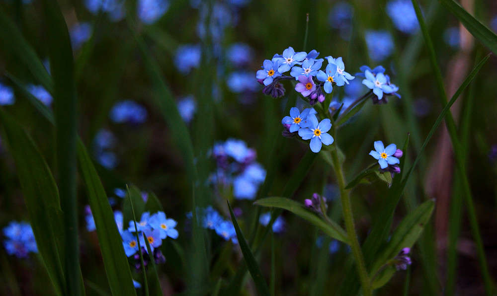 ��������� �� ������� ����� �������  �� PhotoGeek.ru #������ ��� �������