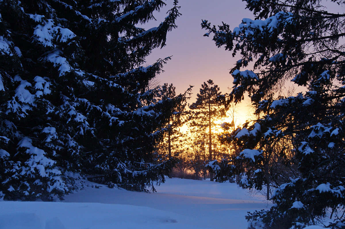 ������ ������ ����� �������  �� PhotoGeek.ru #�����