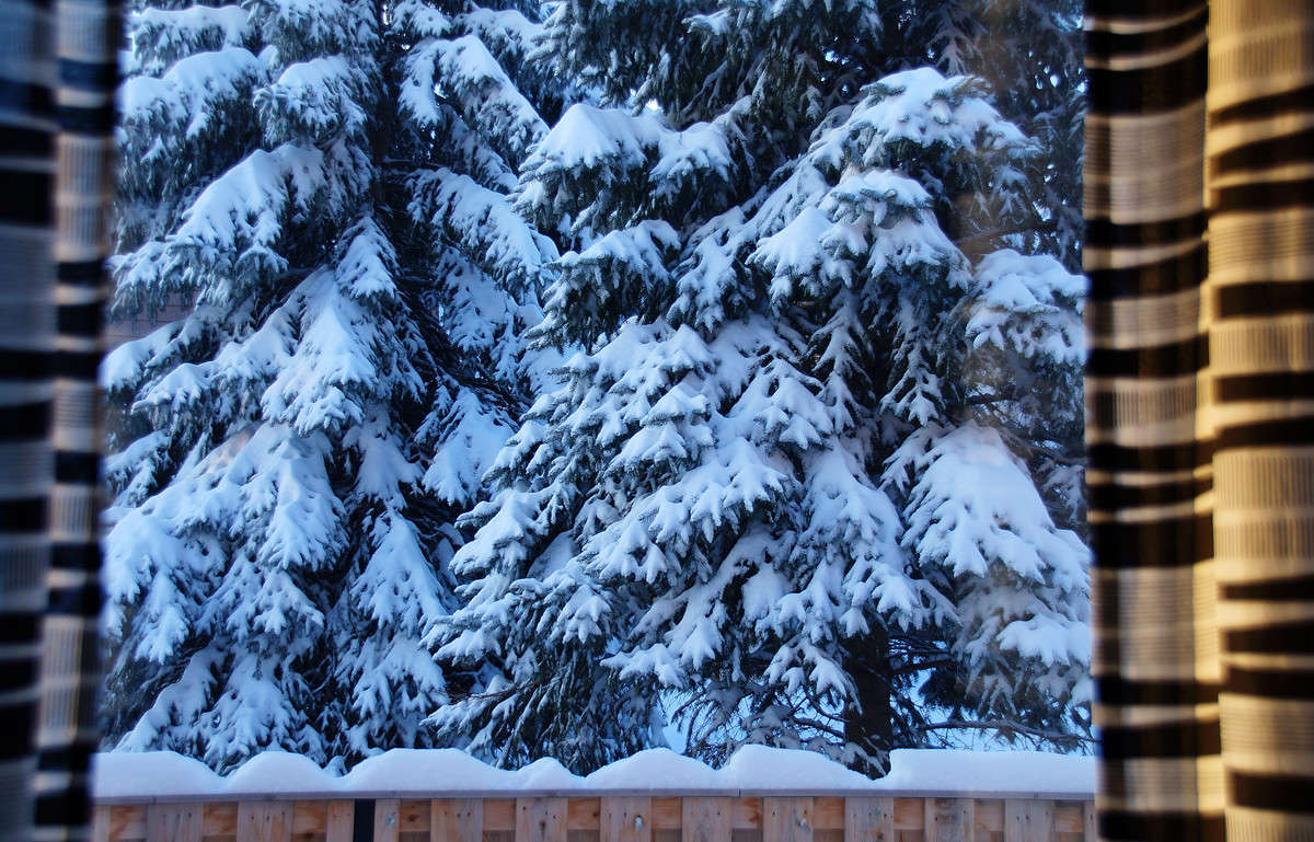� �� ������ ����... ����� �������  �� PhotoGeek.ru #�����