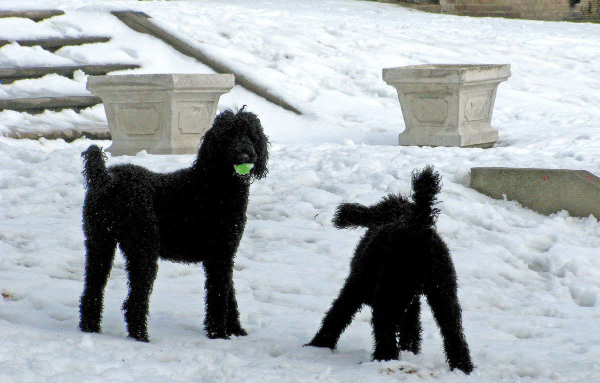 ���������� ������ ����� �������  �� PhotoGeek.ru #����� #�������� ���