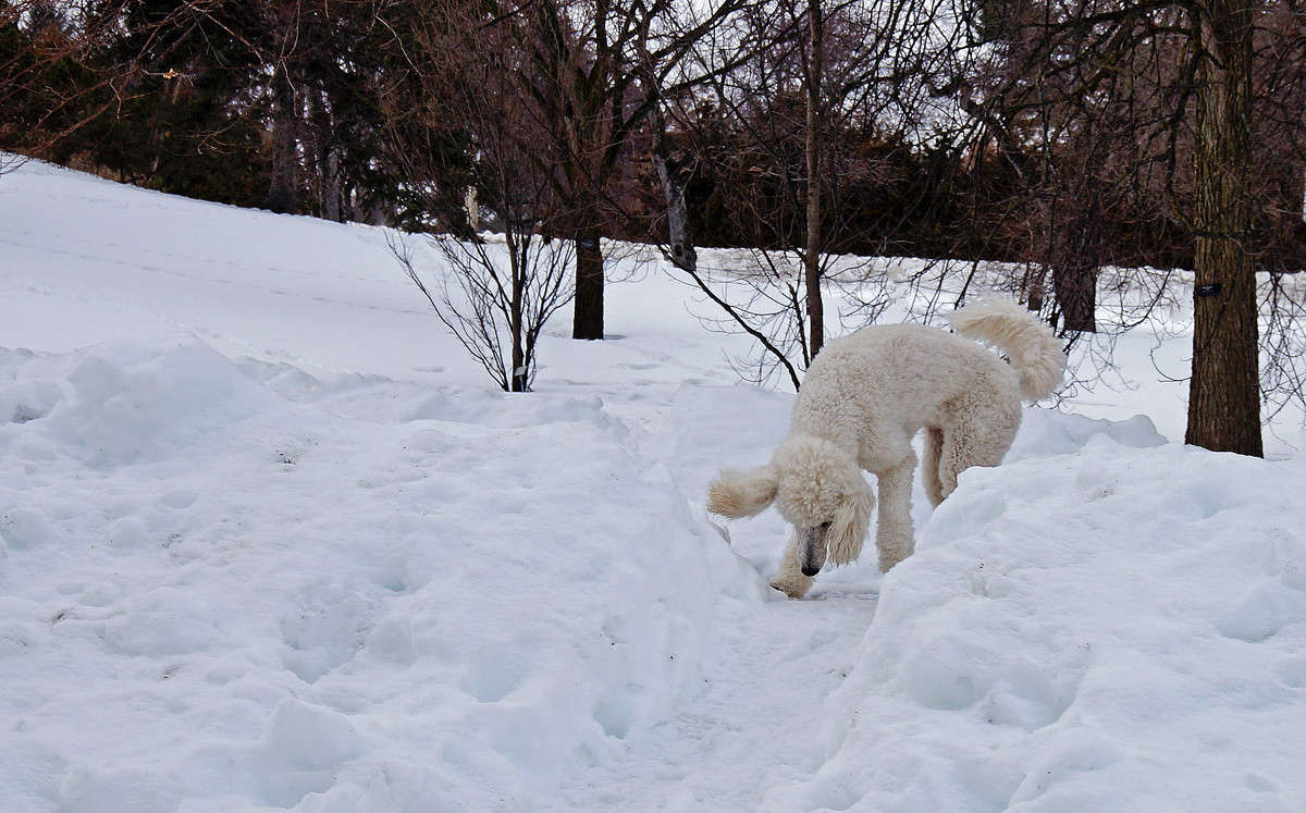 ��� ������ ���� ����� �������  �� PhotoGeek.ru #�������� ���