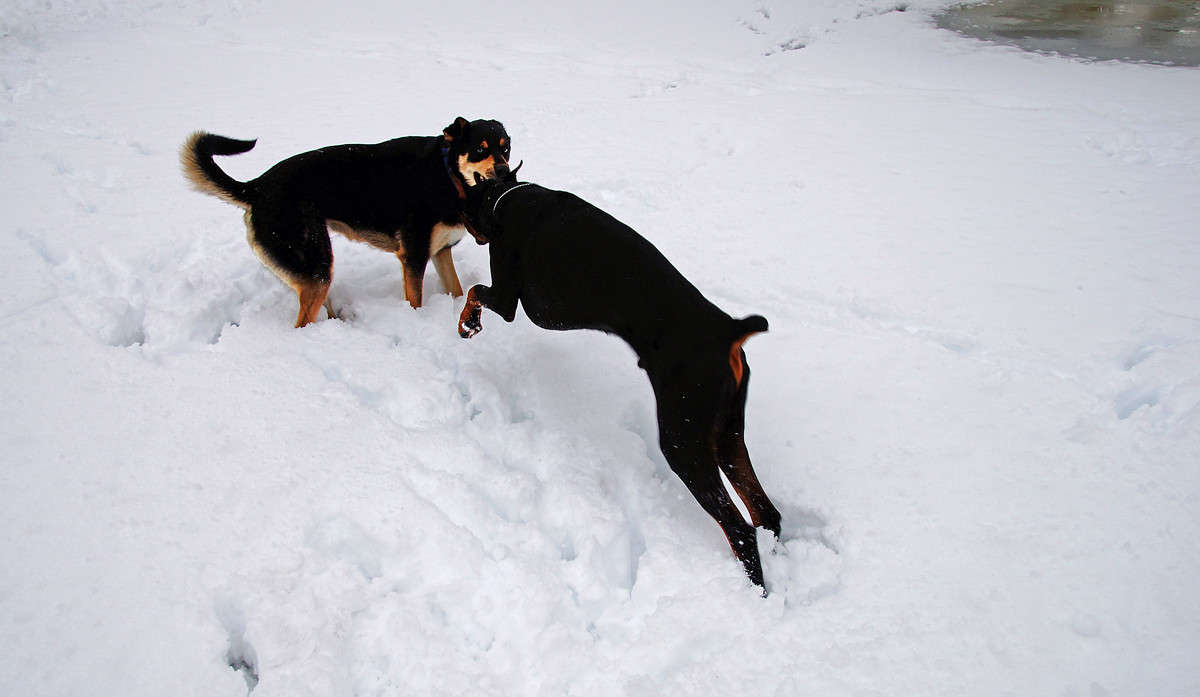 �������� ����� �������  �� PhotoGeek.ru #�������� ���