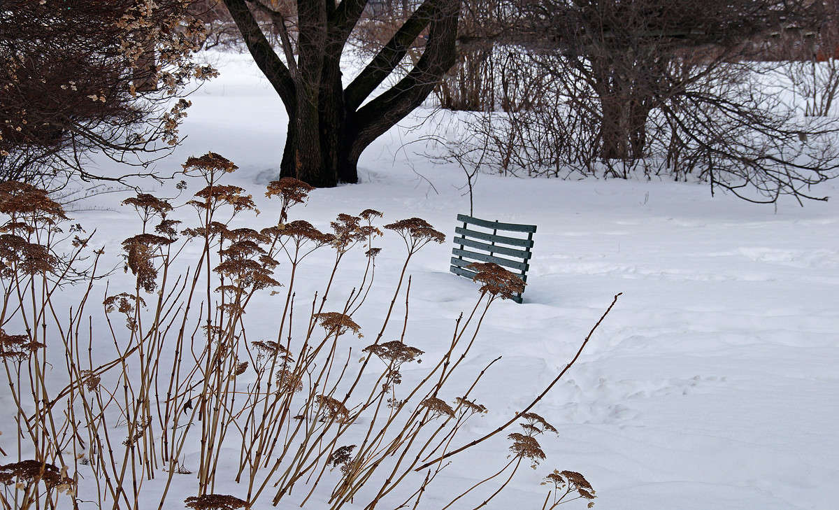 �������� ����� �������  �� PhotoGeek.ru #������ ��� �������