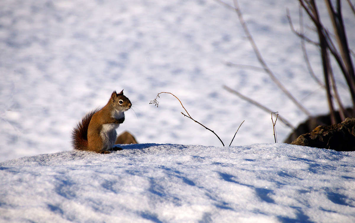 ����������� ���� ����� �������  �� PhotoGeek.ru #�������� ��� #������ ��� �������