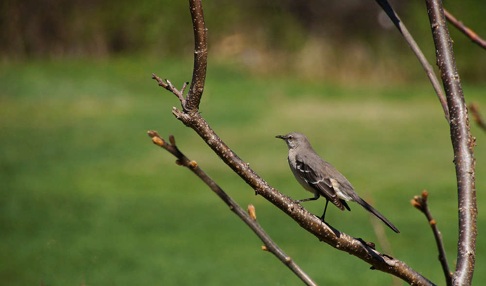 ���� ������ ����� �������  �� PhotoGeek.ru #�������� ���