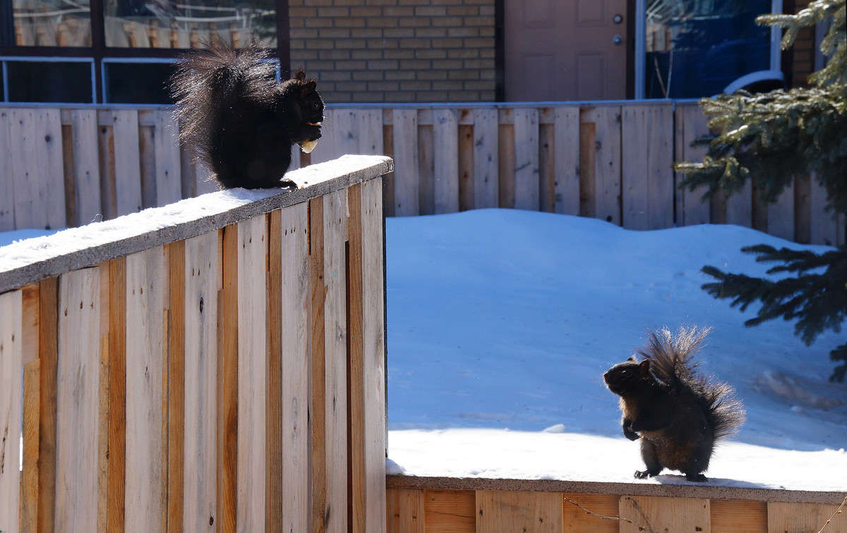 ������� �������? ����� �������  �� PhotoGeek.ru #�������� ���