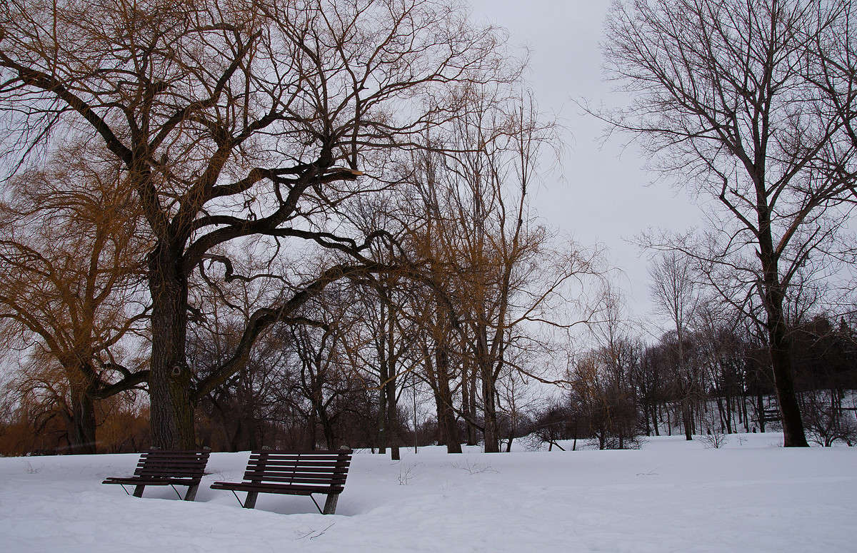 ���� � ����� ������ � �������� ����� �������  �� PhotoGeek.ru #������ ��� �������