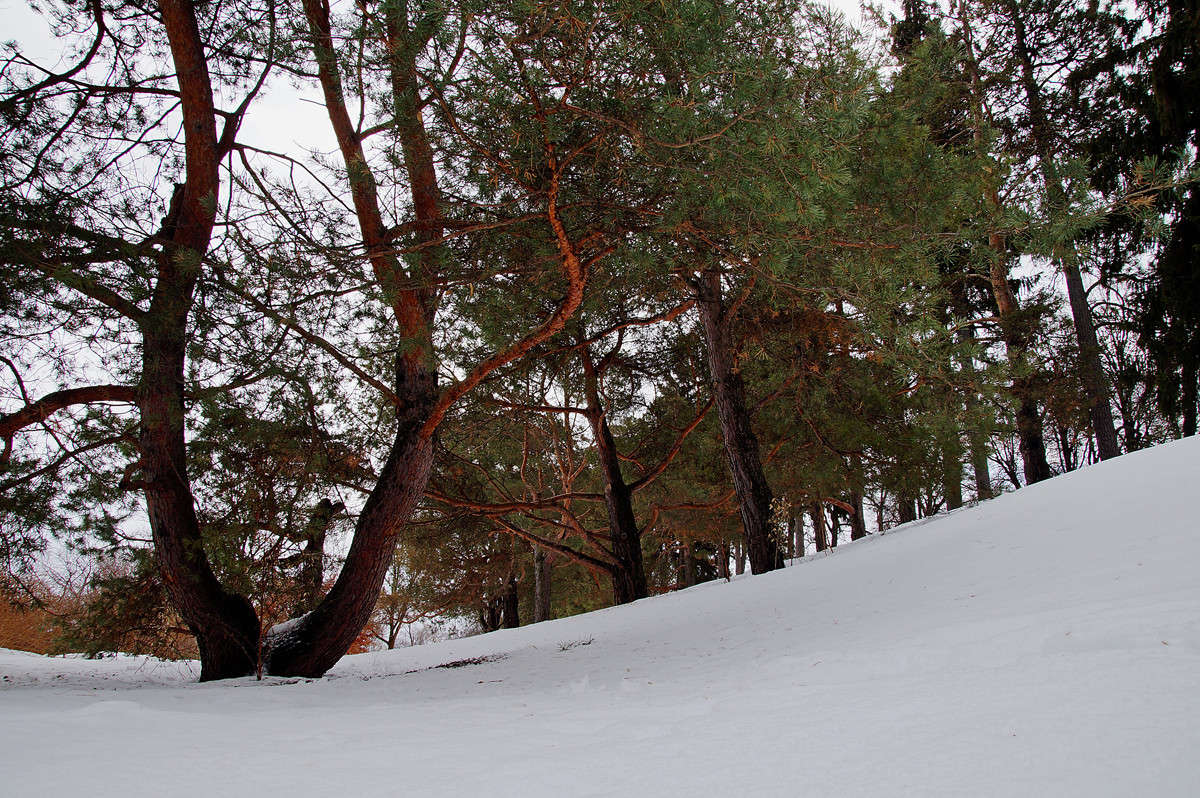���� ���� ��������� ����� �������  �� PhotoGeek.ru #������ ��� �������