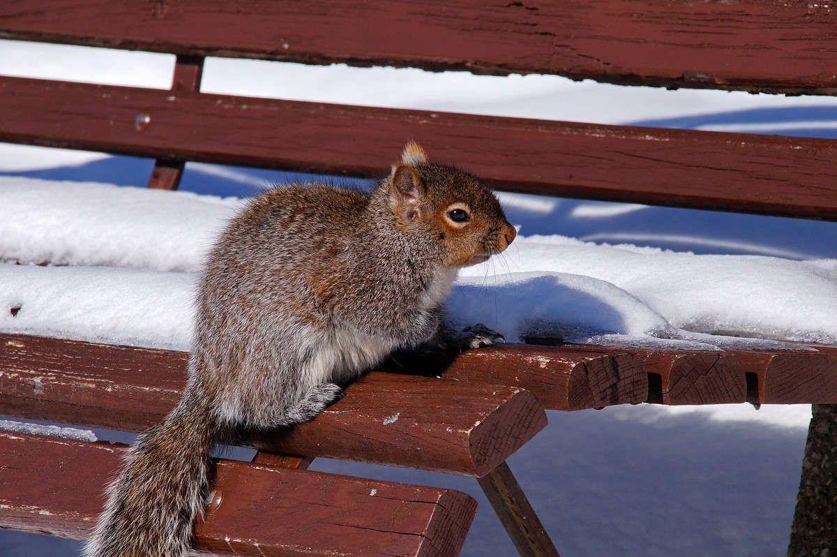 �� �� ���� �� ����� �� ����... ����� �������  �� PhotoGeek.ru #�������� ���