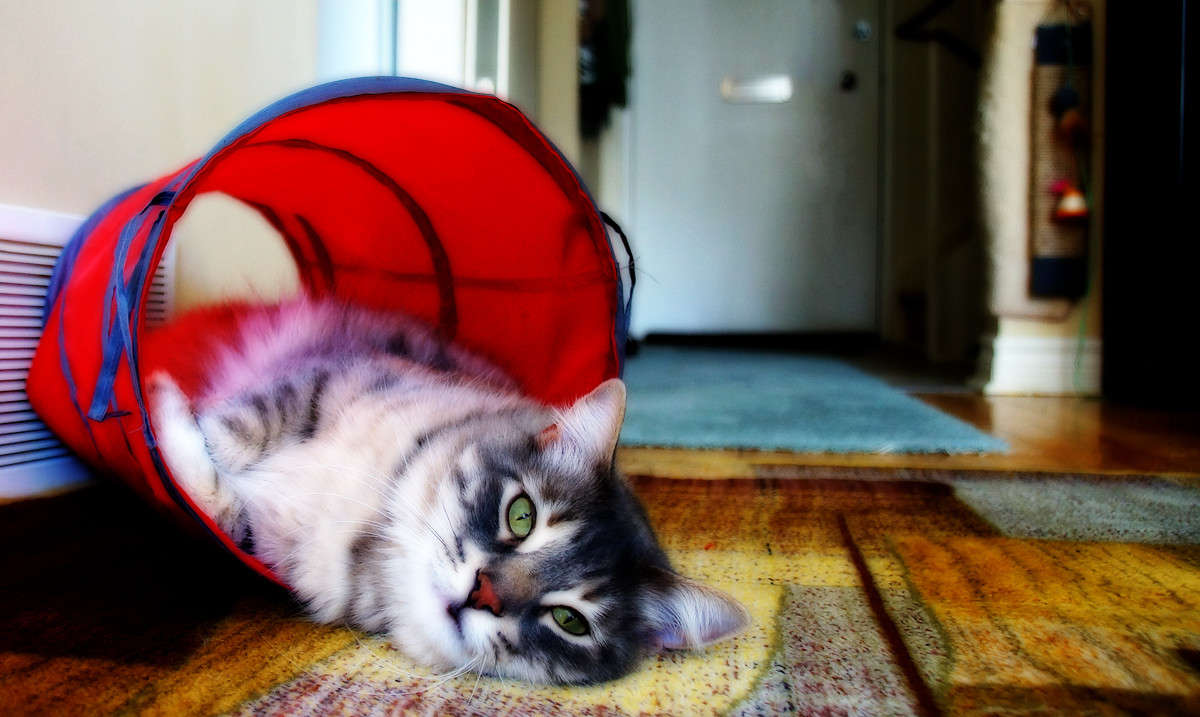 ��������� ����� �������  �� PhotoGeek.ru #�������� ���