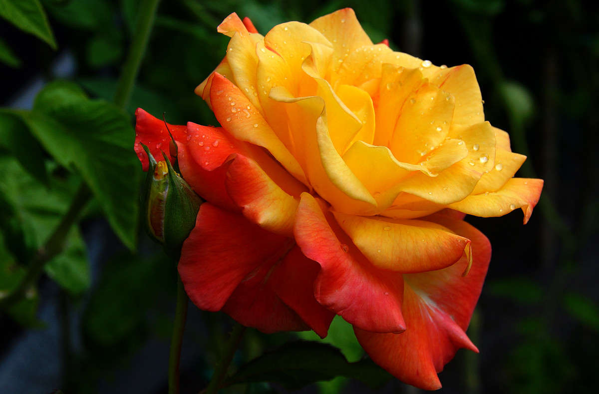 �����! ����� �������  �� PhotoGeek.ru #�������� ����������