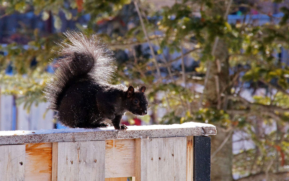 �������� ����� �������  �� PhotoGeek.ru #�������� ���