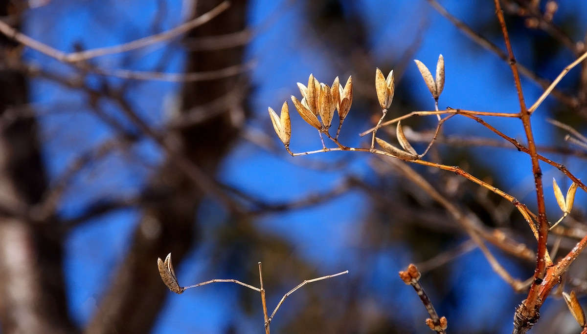 ������� ���������� ����� �������  �� PhotoGeek.ru #������ ��� �������