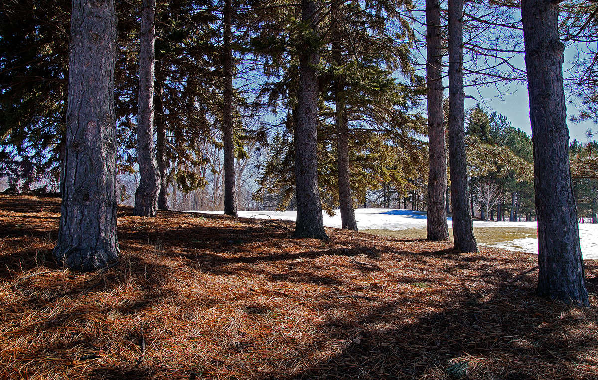 �������� ���� ����� �������  �� PhotoGeek.ru #������ ��� �������