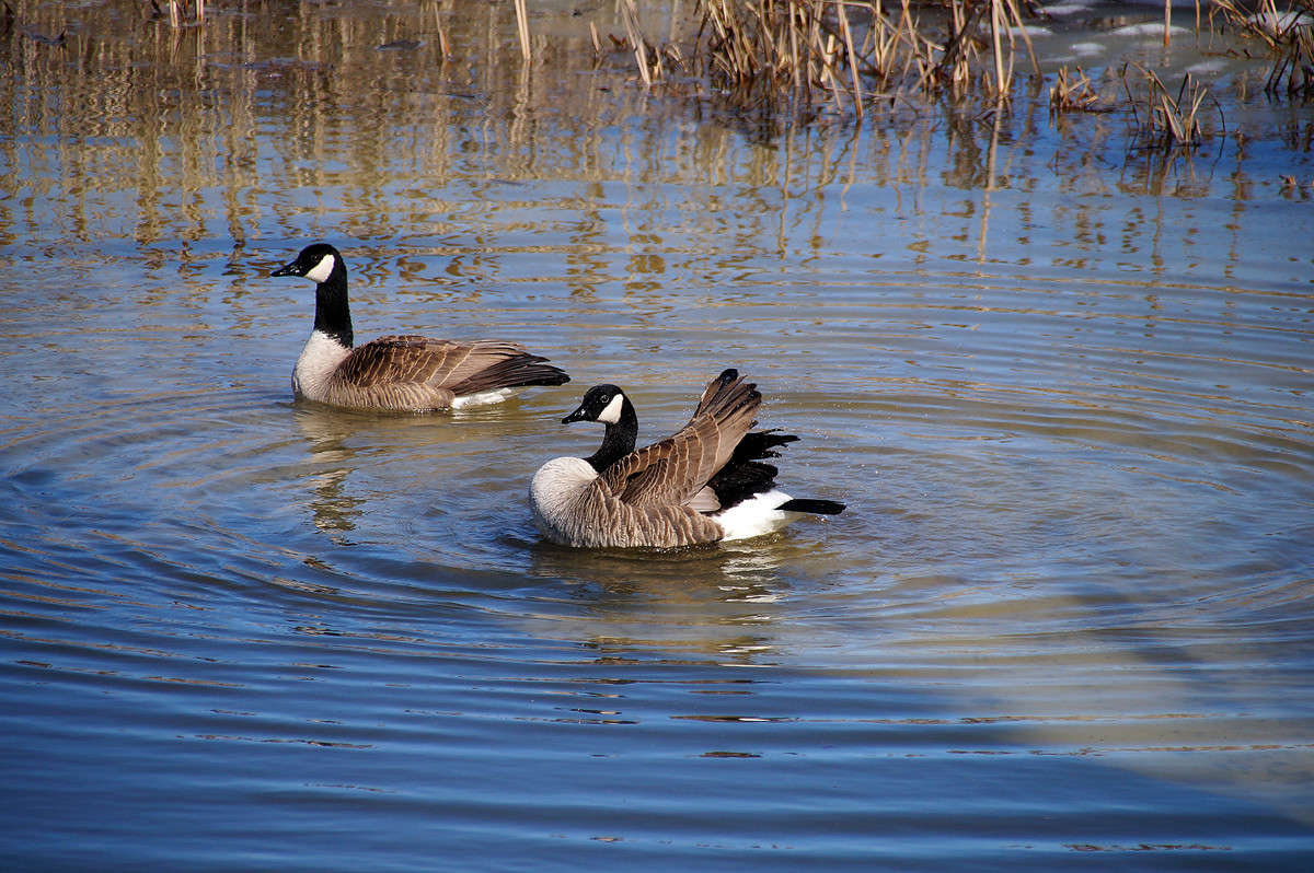 ������ ������� ����� �������  �� PhotoGeek.ru #�������� ���