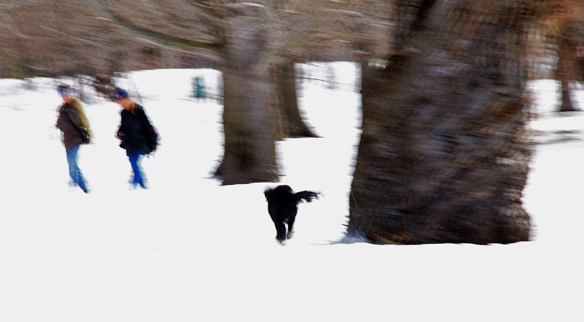 �������� ����������� ����� �������  �� PhotoGeek.ru #�������� ����������