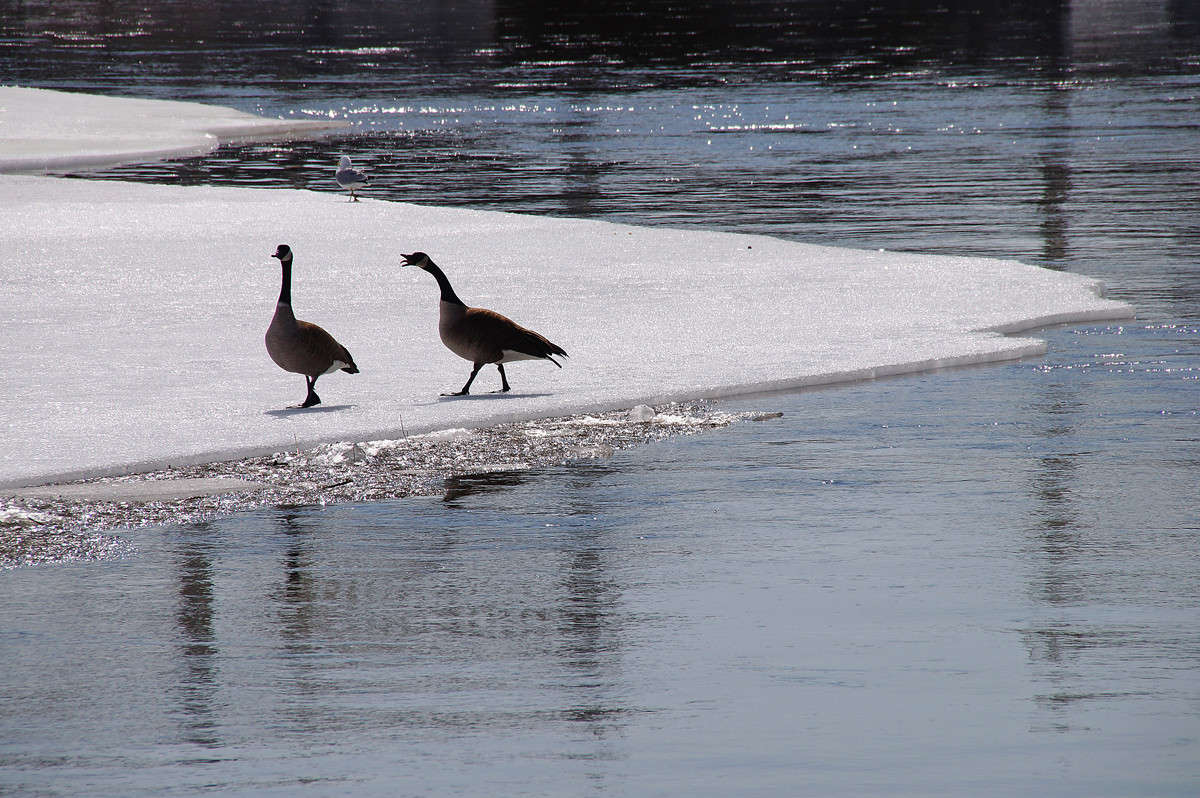 ��������� ����� �������  �� PhotoGeek.ru #����� #�������� ���