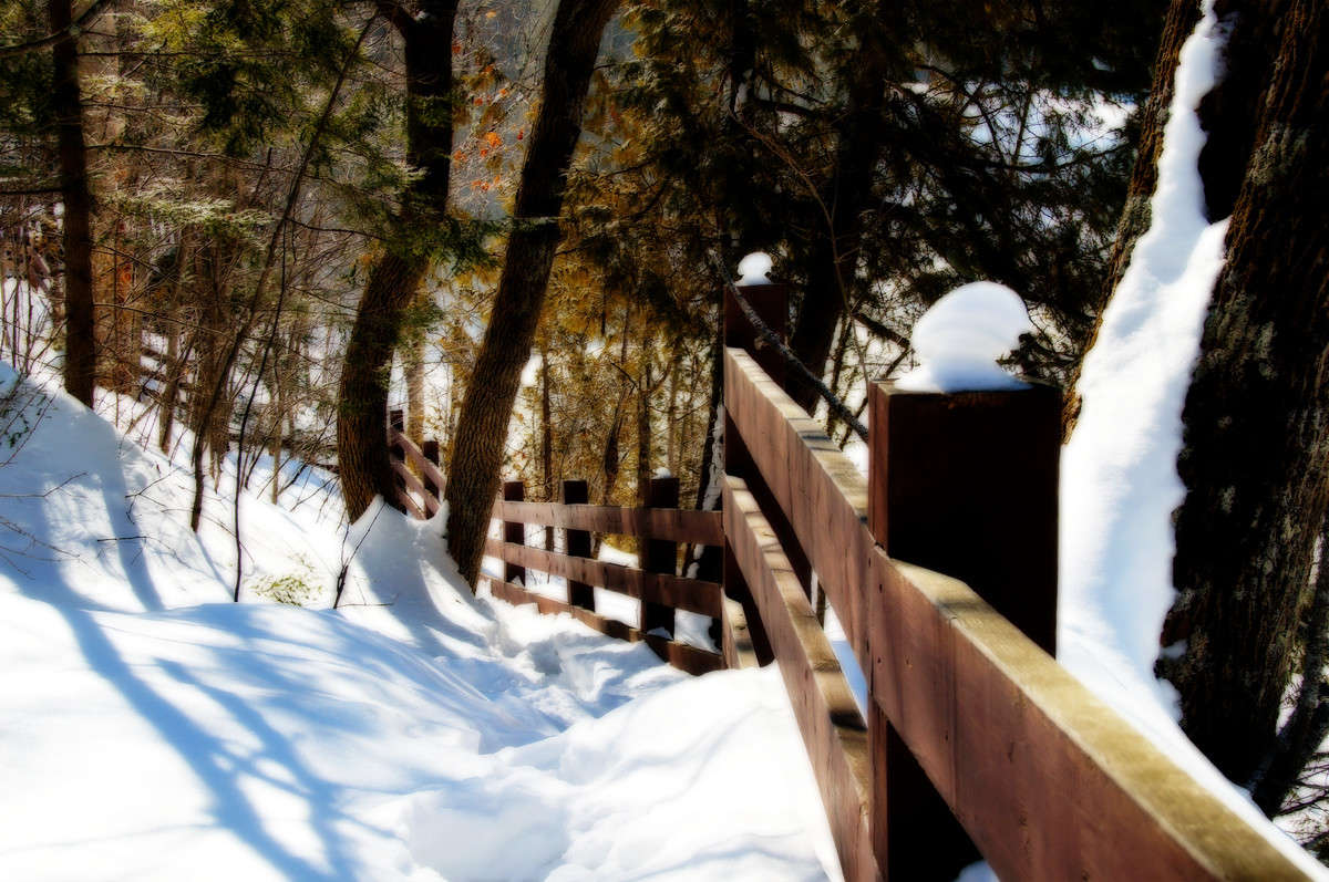 ���� ��� ��� ������� ����� ����� �������  �� PhotoGeek.ru #������ ��� �������