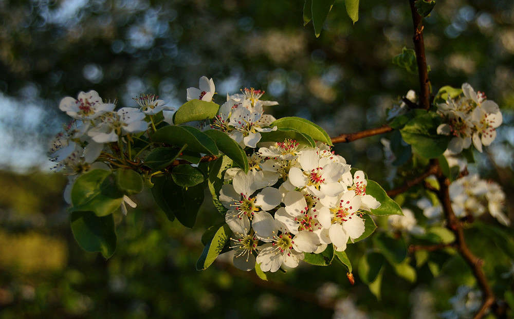 ����� �� �������� ���������� ��� ������ ����� �������  �� PhotoGeek.ru #������ ��� �������