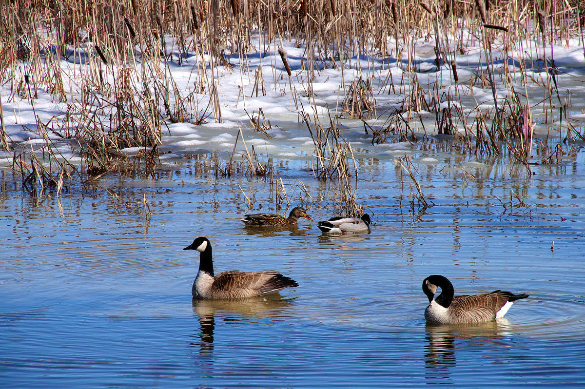 ������ ����� �� ���� ����� �������  �� PhotoGeek.ru #�������� ���