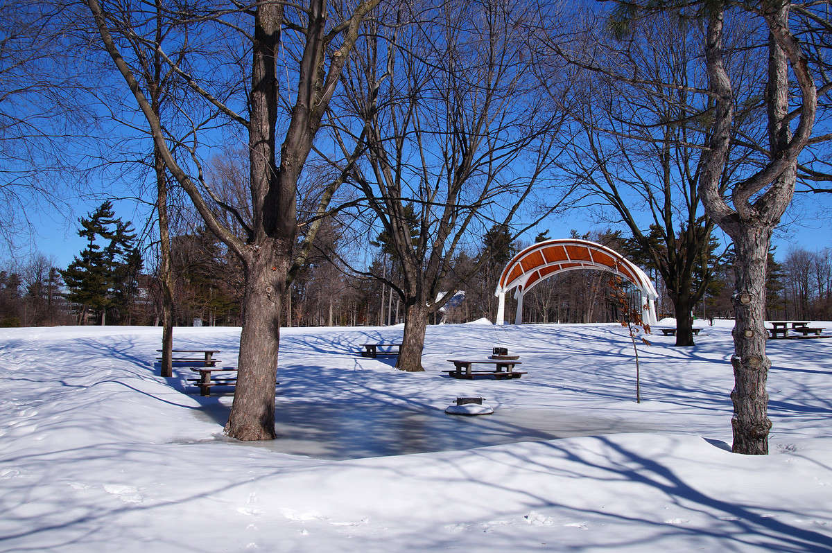 ������� ������� ����� �������  �� PhotoGeek.ru #������ ��� �������