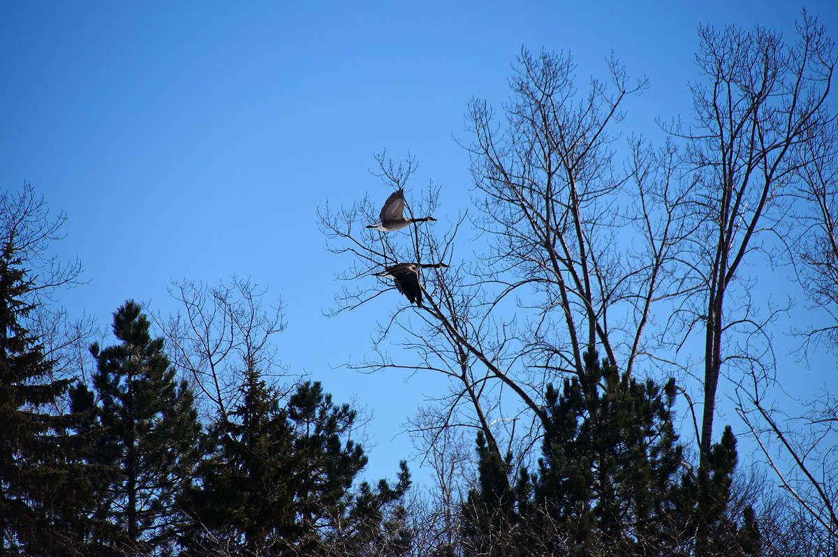 ������ ������� ����� �������  �� PhotoGeek.ru #�������� ���