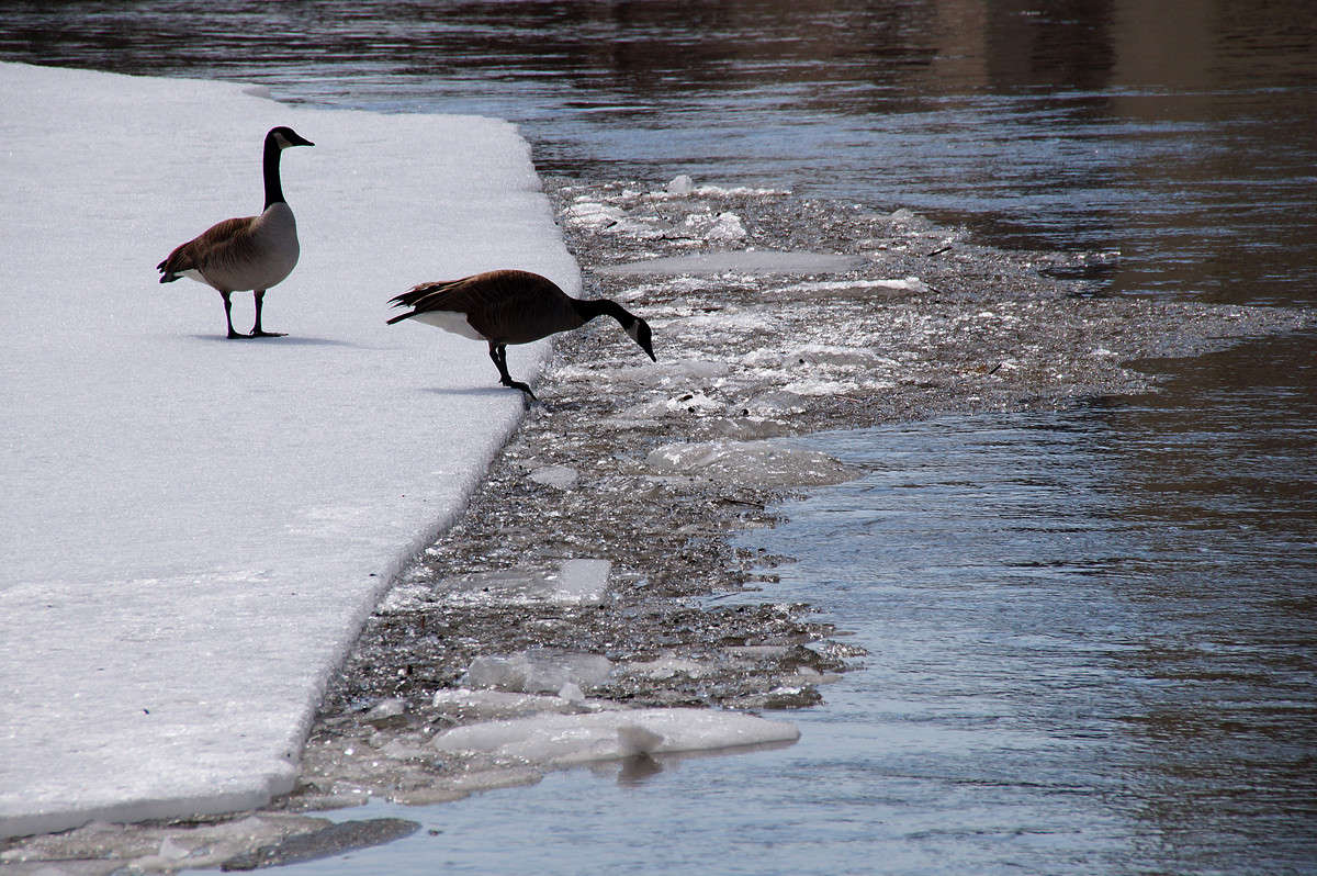 ������� ������� �������? ����� �������  �� PhotoGeek.ru #�������� ���