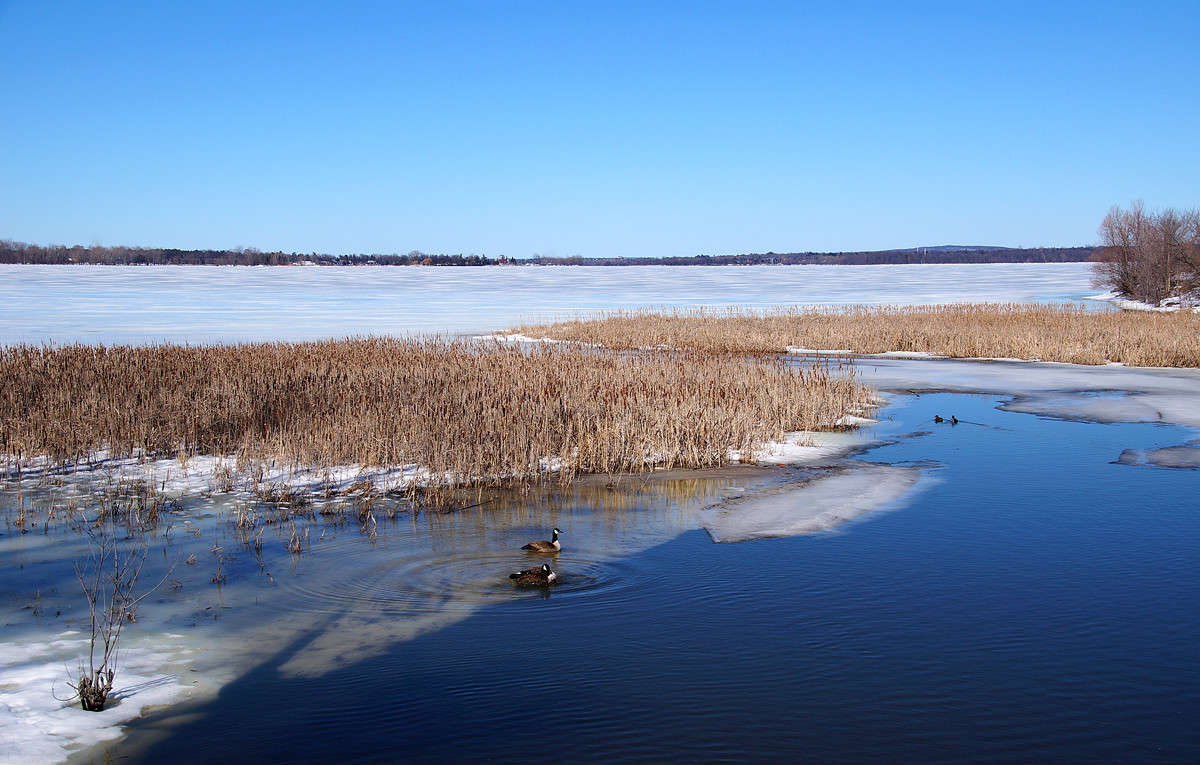 ����� �������� ����� �������  �� PhotoGeek.ru #�������� ��� #������ ��� �������