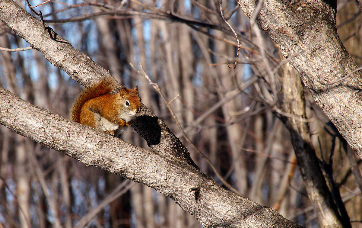 ����������� ������ ����� �������  �� PhotoGeek.ru #�������� ���