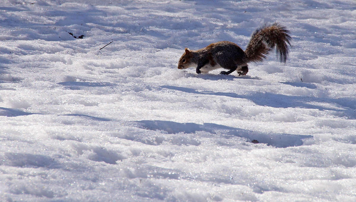 ����� ����� �������  �� PhotoGeek.ru #�������� ���