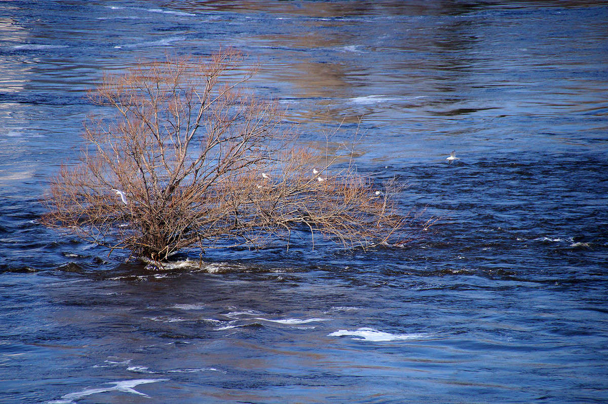 ��������� ����� ����� �������  �� PhotoGeek.ru #������ ��� �������