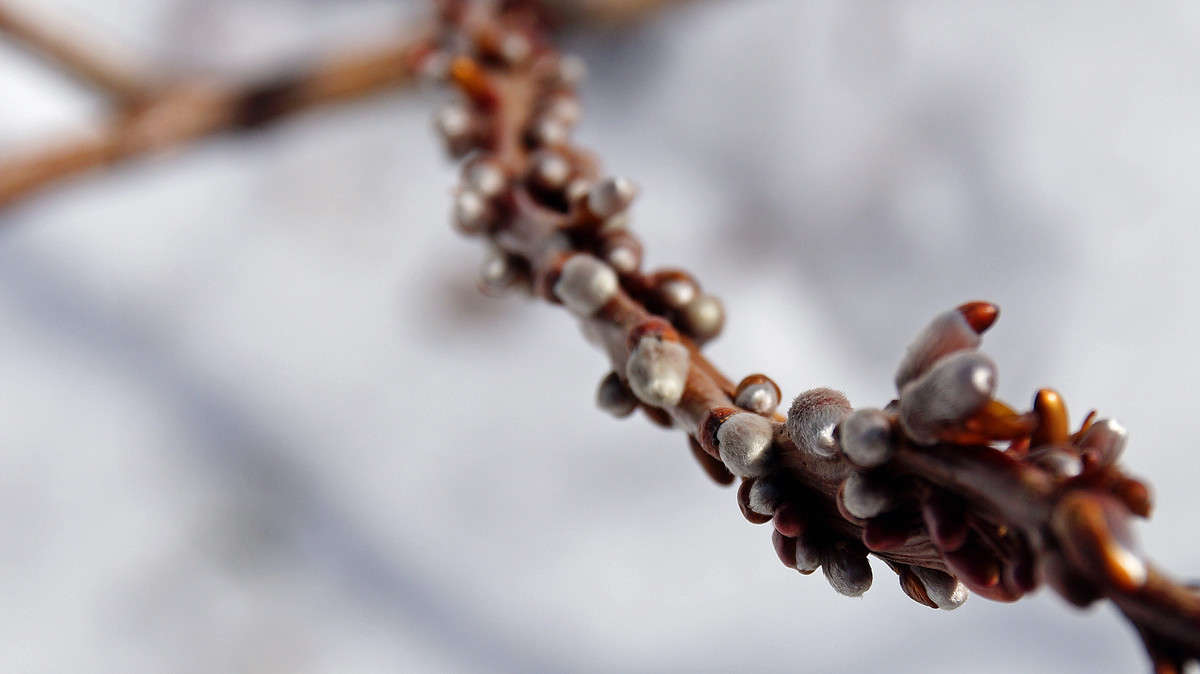 ������� �������� ����� �������  �� PhotoGeek.ru #������ ��� �������