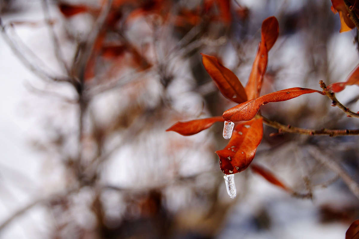 ������ ����� ����� �������  �� PhotoGeek.ru #������ ��� �������