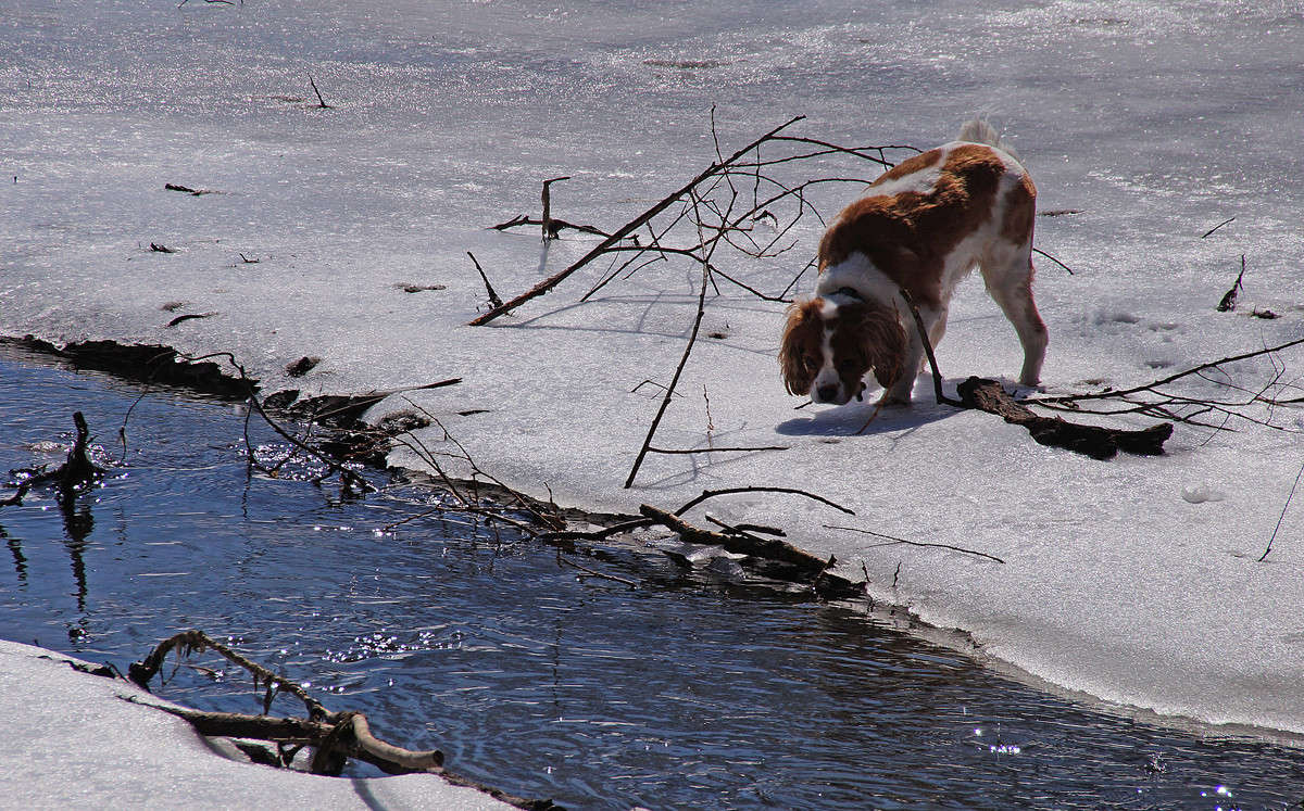 ��� �� ��� � �������� ������ ������� ����� �������  �� PhotoGeek.ru #�������� ���