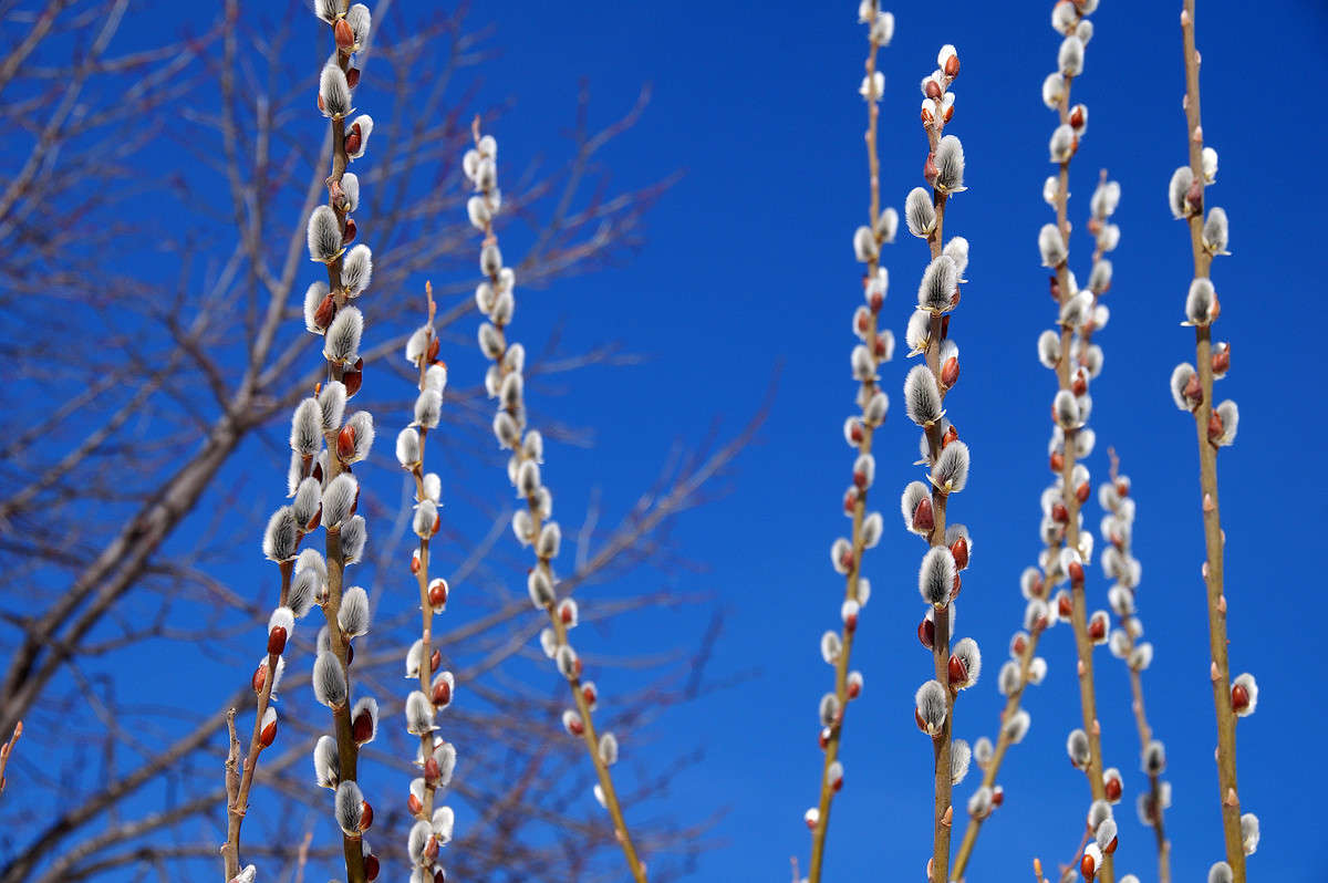 ���� ��������� ����� �������  �� PhotoGeek.ru #������ ��� �������