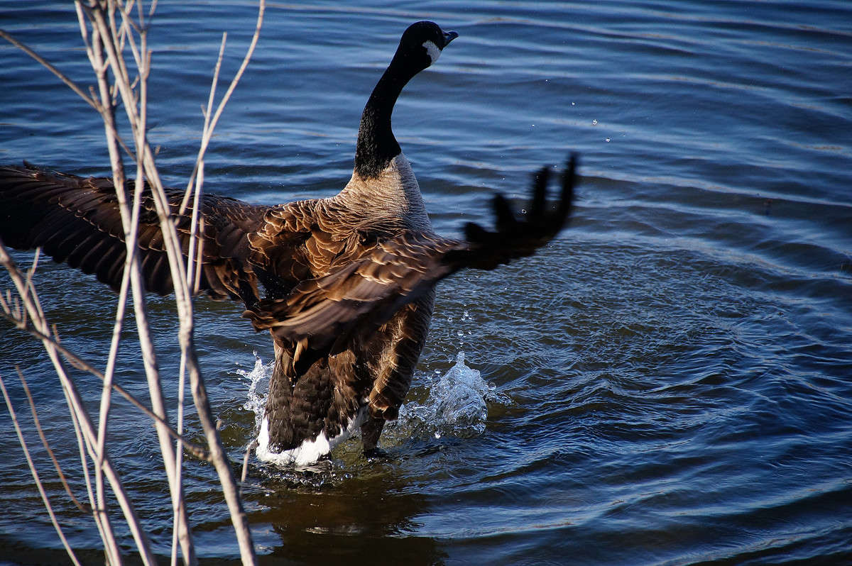 ����� ������� �������� ������ ����� ����� �������  �� PhotoGeek.ru #�������� ���