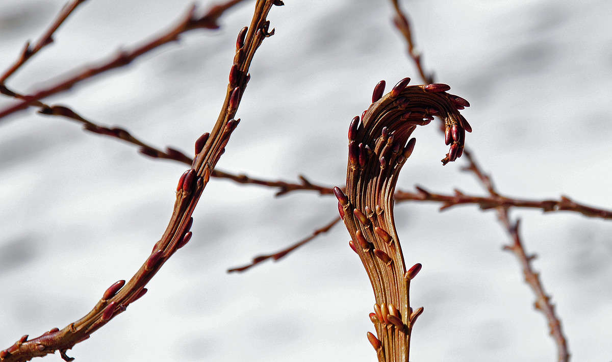 ��������� ����� �������  �� PhotoGeek.ru #������ ��� �������