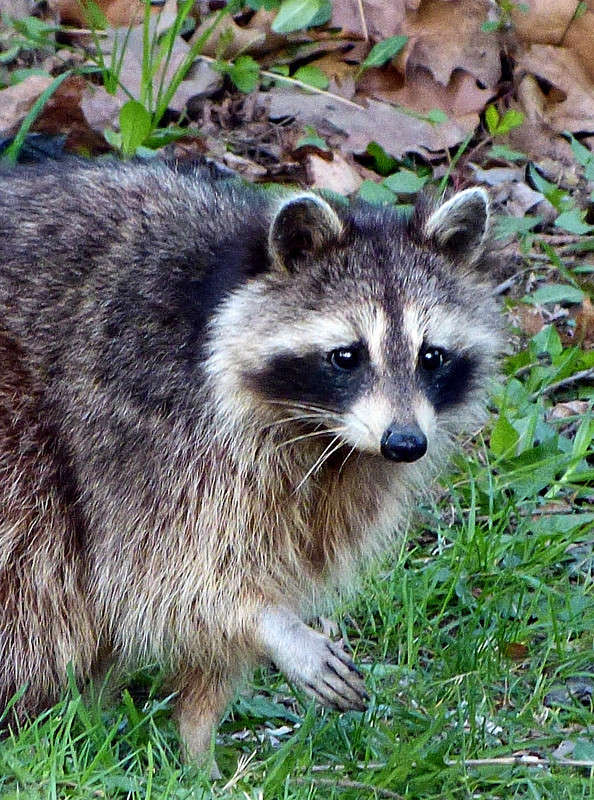 ��������� ������������� ����� �������  �� PhotoGeek.ru #�������� ���