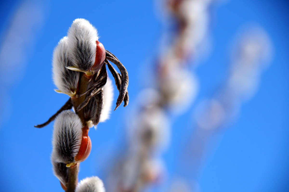 ������! ����� �������  �� PhotoGeek.ru #������ ��� �������