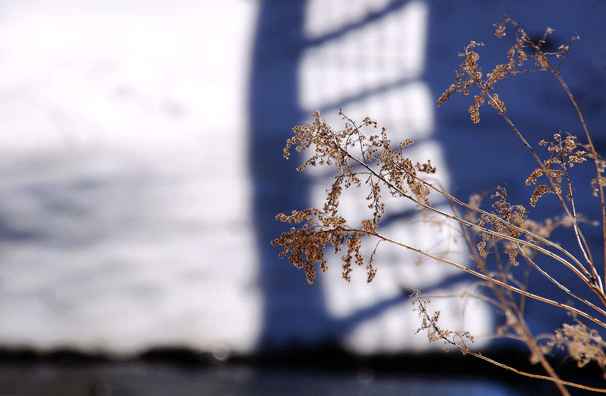 ������� �� �������� ����� �������  �� PhotoGeek.ru #������ ��� �������