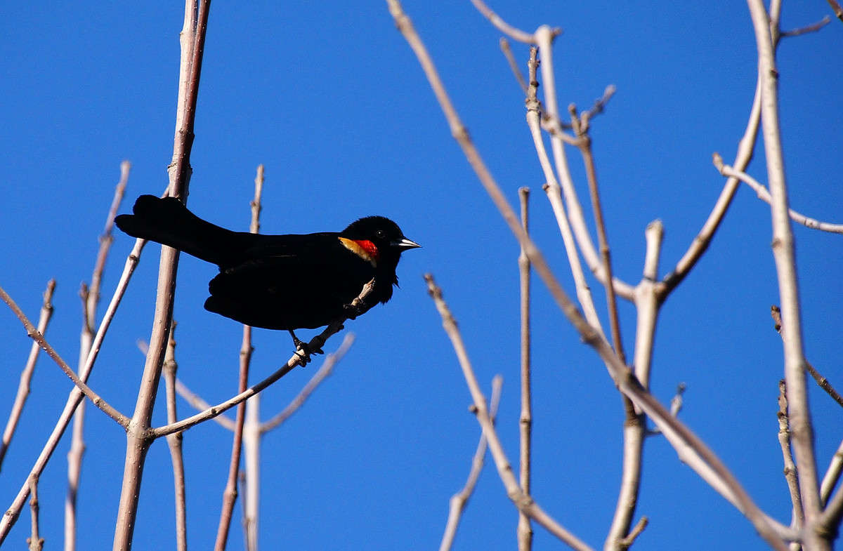 ������������ ����� �������  �� PhotoGeek.ru #�������� ���